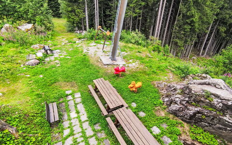 Tra le Piste: Forêt, Mélèze, Jardin, Des Bois, À Feuilles Persistantes, Aménagement Paysager, Conifères Tropicale Et Subtropicale Forêts