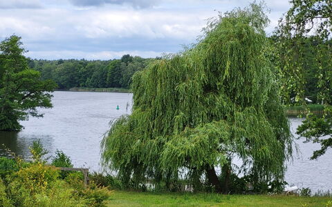 Seeblick 21: L'Eau, Ressources En Eau, Plan D'Eau, Végétation, Cours D'Eau, Voie Navigable, Banque, Lac, Ripisylve