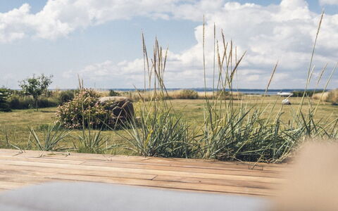 Bondi - 75M from the Sea: Herbe, Prairie, Lot Terre, Chalet, Zone Rurale, Prairie, Batiments Jardin, Jardin, Cabanon