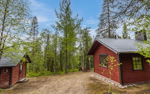 Riekkola: Arbre, Bois, Chalet, Maison, Domicile, Toit, Lot Terre, Zone Rurale, Des Bois, Cabanon
