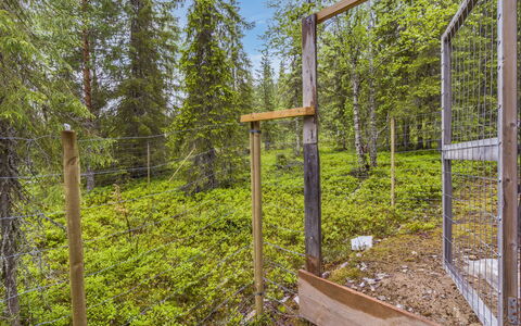 Riekkola: Bois, Communauté Des Plantes, Forêt, Des Bois, Réserve Naturelle, Piste, Bosquet, Jungle