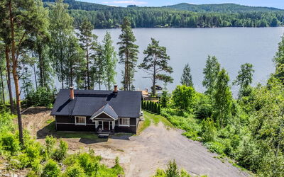 Hanhenpesä