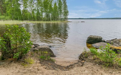 Tervapääsky