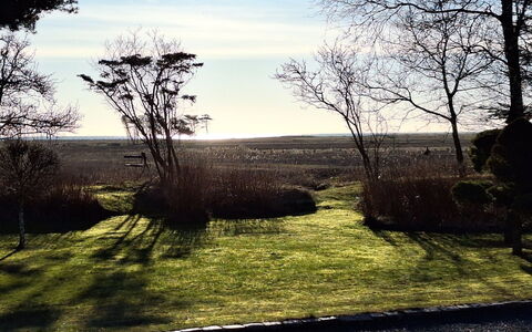 Bodulf - 850M from the Sea: La Nature, Branche, Paysage Naturel, Plaine, Tronc, Lumière Du Soleil, Matin, Pelouse, Brindille, Aménagement Paysager