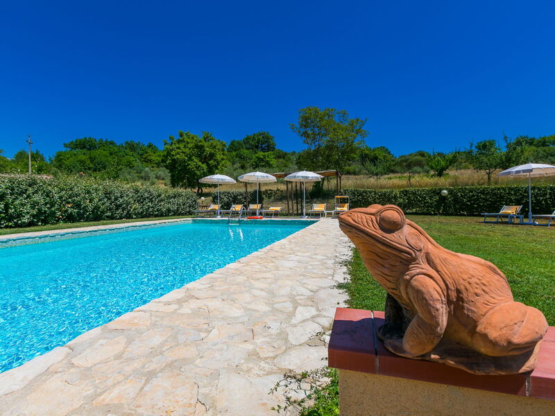 Logement:&nbsp;Podere San Giuseppe 620.2