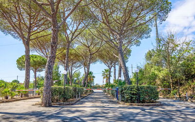 Logement:&nbsp;Bungalow Superior 649.2