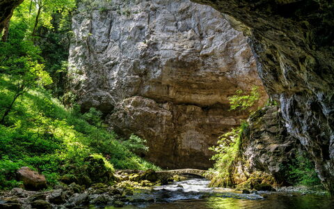 Postojna 100: La Nature, Roche, Courant, Cours D'Eau, Substrat Rocheux, Réserve Naturelle, Géologie