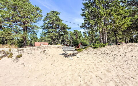 Lugnet: Arbre, Environnement Naturel, Été, Le Sable, Paysage, Plage, Rive, Sol, Ombre, Tropiques