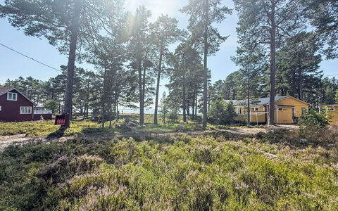 Lugnet: Herbe, Arbre, Feuille, Maison, Chalet, Paysage, Lot Terre, Domicile, Zone Rurale