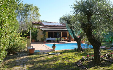 La Sevillana: Domicile, Jardin, Arrière-Cour, Hacienda, Ombre, Cour, Chalet, Biens, Aménagement Paysager, Ferme
