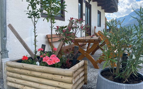 Panoramaperle: Bois, Pot De Fleur, Plante D'Appartement, Jardin, Dur, Floristique, Planche, Tache De Bois, Herbe