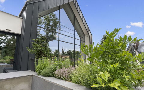 Luxury Retreat Resort: Arbuste, Jardin, Couverture De Sol, Aménagement Paysager, Ombre, Conception, Cour, Siding, Structure En Plein Air, Batiments Jardin