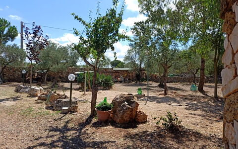 Borgo Incanto: Arbre, Paysage, Sol, Tronc, Suppression Des Plantes Ligneuses, Jardin, Ombre, Aménagement Paysager, Arrière-Cour, Chemin