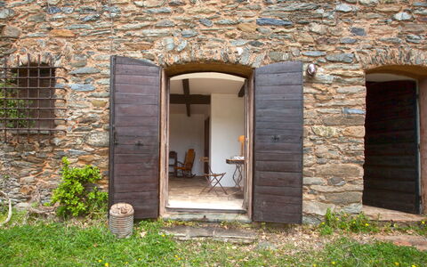 Formicaccia: 