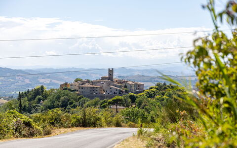 La Pineta Holiday Homes: Horizon, Paysage, Lot Terre, Établissements Humains, Zone Rurale, Banlieue, Village, Formations Arbustives, Chaparral