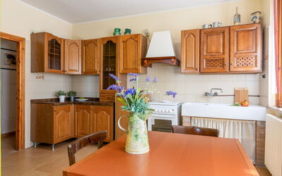 Logement:&nbsp;Alfa Apartment