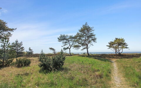 Marja - 350M from the Sea: Herbe, Prairie, Lot Terre, Chalet, Zone Rurale, Prairie, Batiments Jardin, Jardin, Cabanon