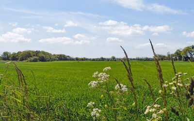 Aarni - 6.5Km from the Sea