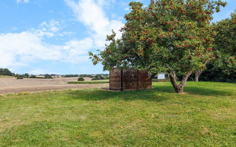 Alisa - 2.5Km from the Sea: Herbe, Prairie, Lot Terre, Chalet, Zone Rurale, Prairie, Batiments Jardin, Jardin, Cabanon