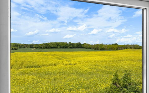 Alisa - 2.5Km from the Sea: Herbe, Prairie, Lot Terre, Chalet, Zone Rurale, Prairie, Batiments Jardin, Jardin, Cabanon