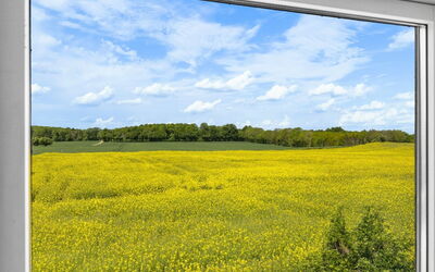 Alisa - 2.5Km from the Sea