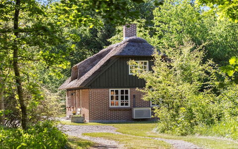 Hilaria - 2.1Km from the Sea: Arbre, Chalet, Arbuste, Maison, Toit, Zone Rurale, Domicile, Ferme, Printemps, À Déchaumer