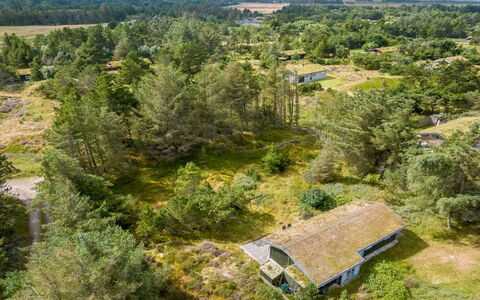 Saila - 1.2Km from the Sea: Végétation, Paysage, Écorégion, Lot Terre, Communauté Des Plantes, Zone Rurale, Chalet, Champ, Prairie, Plantation