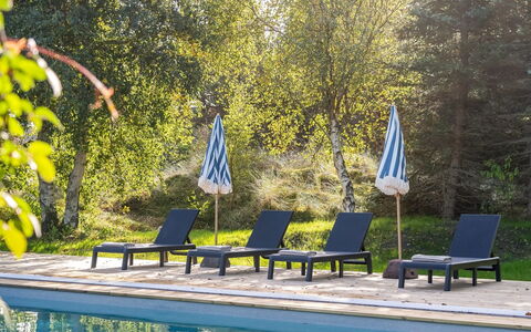 Arsi - 1.8Km from the Sea: Paysage, Lot Terre, Plantation, Famille Pine, À Feuilles Persistantes