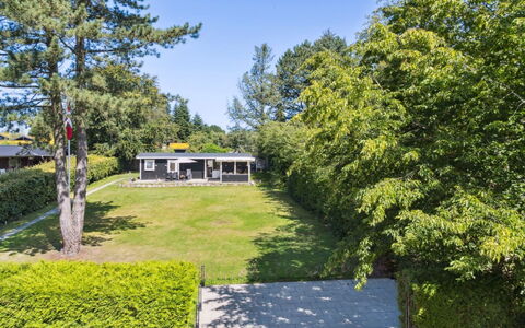 Guthfrith - 1.4Km from the Sea: Végétation, Arbuste, Printemps, Chalet, Jardin, Ombre, Arrière-Cour, Cour, Chaise