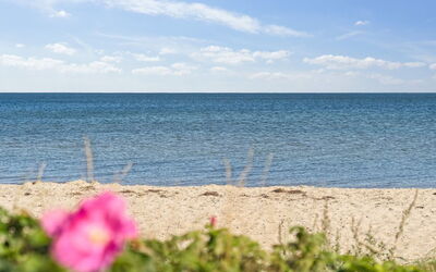 Elvie - 150M from the Sea