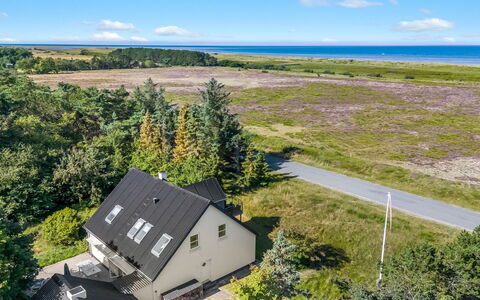 Lutz - 340M from the Sea: Toit, Maison, Domicile, Chalet, Siding, Biens, Allée, Batiments Jardin, Cour, Cabanon