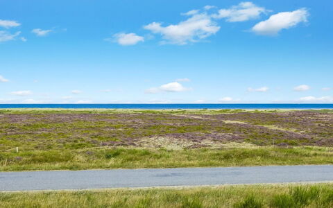 Lutz - 340M from the Sea: Toit, Maison, Domicile, Chalet, Siding, Biens, Allée, Batiments Jardin, Cour, Cabanon