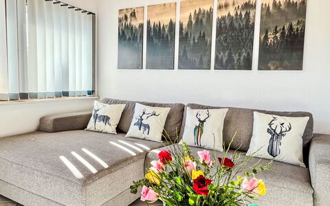 Feingeist: Meubles, Design Intérieur, Canapé, Mur, Sol, Sol, Salon, Pièce, Coussin, Throw Pillow