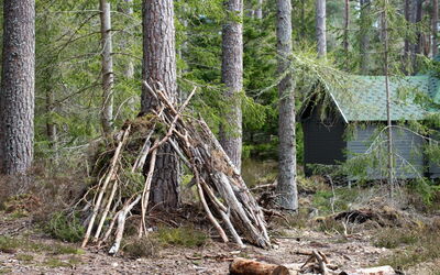 Logement:&nbsp;Forester'S Bothy 101.5