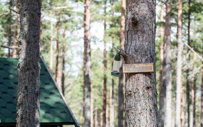 Logement:&nbsp;Beekeepers Bothy 101.1