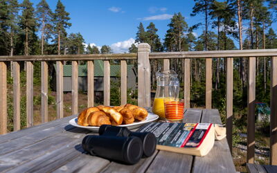 Logement:&nbsp;Birch Bothy 101.7
