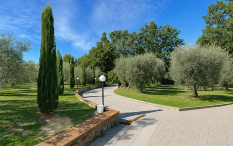 Villa Diamante: Arbre, Herbe, Feuille, Arbuste, Jardin, Suppression Des Plantes Ligneuses, Printemps, Passerelle, Parc, Aménagement Paysager