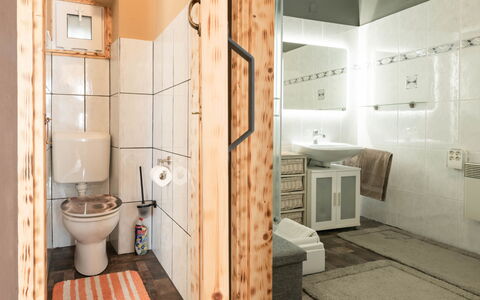 Badi: Mur, Sol, Sol, Bois, Design Intérieur, Luminaire Plomberie, Siège De Toilette, Toilette, Salle De Bains, Lavabo