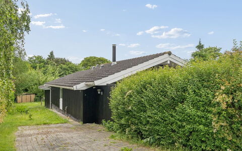 Rikhard - 175M to the Fjord: Arbuste, Maison, Toit, Domicile, Chalet, Couverture De Sol, Jardin, Biens, Pelouse, Allée