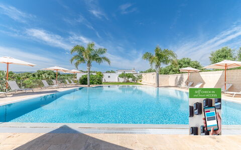 Masseria Lamagrotte: Piscine, Mobilier De Jardin, Parapluie, Recours, Loisir, Chaise, Eco Hôtel, Ombre, Balancelle, Aménagement Paysager