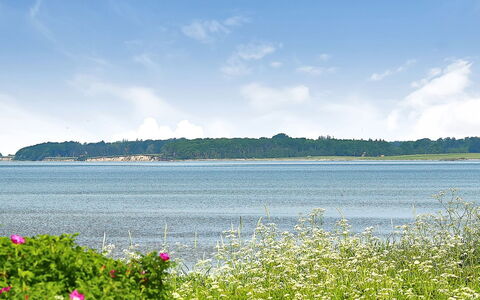 Gertje - 20M from the Sea: Bleu, Arbuste, Chalet, Couverture De Sol, Jardin, Biens, Ombre, Aménagement Paysager, Ferme, Eco Hôtel