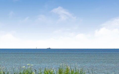 Gertje - 20M from the Sea: Bleu, Arbuste, Chalet, Couverture De Sol, Jardin, Biens, Ombre, Aménagement Paysager, Ferme, Eco Hôtel