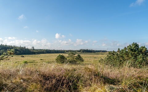 Anneka - 750M from the Sea: Ciel, Bleu, Nuage, Environnement Naturel, Herbe, Prairie, Végétation, Paysage Naturel, Écorégion, Plaine