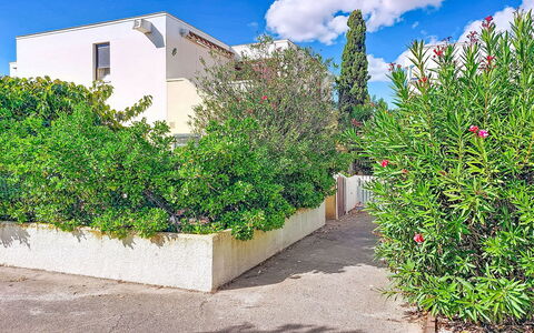 Le Barcarès 255: Arbuste, Jardin, Zone Résidentielle, Communauté Des Plantes, Lot Terre, Couverture De Sol, Aménagement Paysager, Arrière-Cour, Cour
