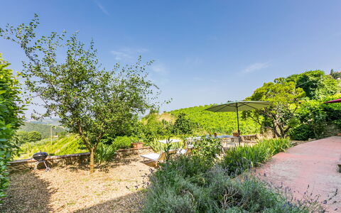 Ridaldi: Vert, Végétation, Arbuste, Paysage, Communauté Des Plantes, Jardin, Zone Rurale, Couverture De Sol, Printemps