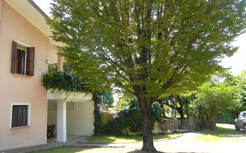 Villa Rosa Apartment: Suppression Des Plantes Ligneuses, Ombre, Cour, Jardin, Pelouse, Arrière-Cour, Aménagement Paysager, Allée, À Feuilles Persistantes