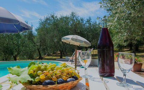 Villa Albertine: Serveware, Aliments, Nappe De Table, Mobilier De Jardin, Vaisselle, Fruit, Bar, Assiette, Petit Déjeuner, Tableau De Plein Air
