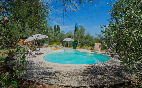 Villa Albertine: Bleu, Piscine, Mobilier De Jardin, Recours, Aménagement Paysager, Ombre, Eco Hôtel, Chaise, Arrière-Cour, Hacienda