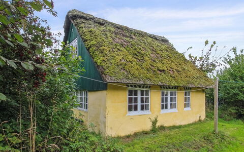 Thorfrid - 1Km from the Sea: Vert, Herbe, À Déchaumer, Jaune, Toit, Maison, Chalet, Zone Rurale, Lot Terre, Village