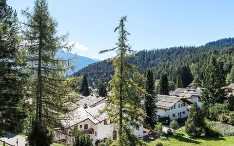 Spunda Biala: Arbre, Maison, Domicile, Mélèze, Chalet, Village, À Feuilles Persistantes, Village De Montagne